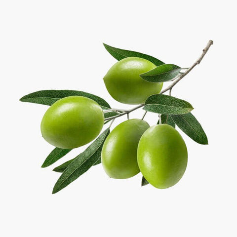 7. Sample affiliate product